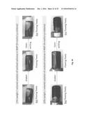 THIXOTROPIC OXIDIZED CELLULOSE SOLUTIONS AND MEDICAL APPLICATIONS THEREOF diagram and image