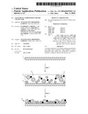 ANTI-SOILING COMPOSITIONS FOR DRY AND WET SOIL diagram and image