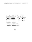 ANTIBODIES AGAINST F GLYCOPROTEIN OF HENDRA AND NIPAH VIRUSES diagram and image