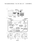 NEGATIVE SELECTION AND STRINGENCY MODULATION IN CONTINUOUS EVOLUTION     SYSTEMS diagram and image