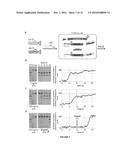 NEGATIVE SELECTION AND STRINGENCY MODULATION IN CONTINUOUS EVOLUTION     SYSTEMS diagram and image