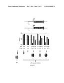 NEGATIVE SELECTION AND STRINGENCY MODULATION IN CONTINUOUS EVOLUTION     SYSTEMS diagram and image