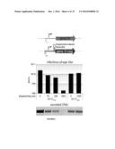 NEGATIVE SELECTION AND STRINGENCY MODULATION IN CONTINUOUS EVOLUTION     SYSTEMS diagram and image