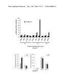 NEGATIVE SELECTION AND STRINGENCY MODULATION IN CONTINUOUS EVOLUTION     SYSTEMS diagram and image