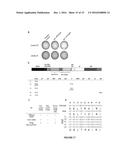 NEGATIVE SELECTION AND STRINGENCY MODULATION IN CONTINUOUS EVOLUTION     SYSTEMS diagram and image