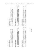 Oligonucleotides and Methods for Treatment of Cardiomyopathy Using RNA     Interference diagram and image