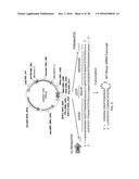 Oligonucleotides and Methods for Treatment of Cardiomyopathy Using RNA     Interference diagram and image