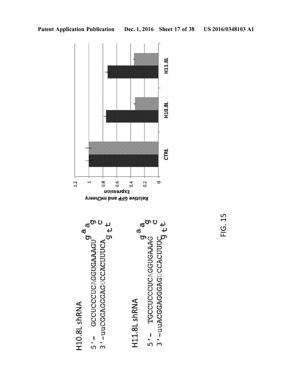 Oligonucleotides and Methods for Treatment of Cardiomyopathy Using RNA     Interference - diagram, schematic, and image 18