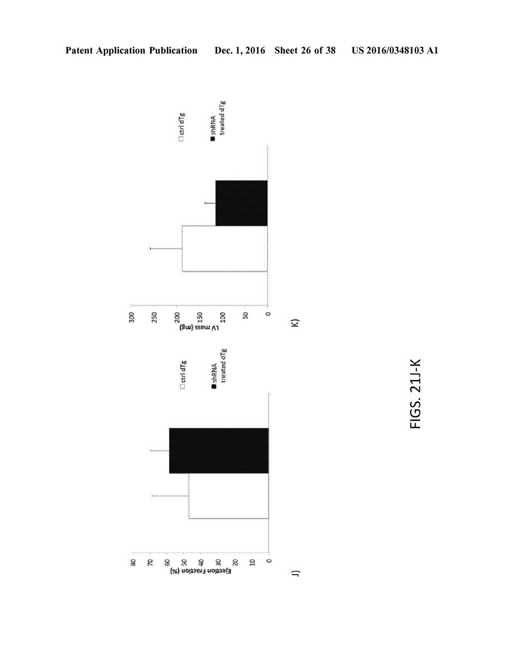 Oligonucleotides and Methods for Treatment of Cardiomyopathy Using RNA     Interference - diagram, schematic, and image 27