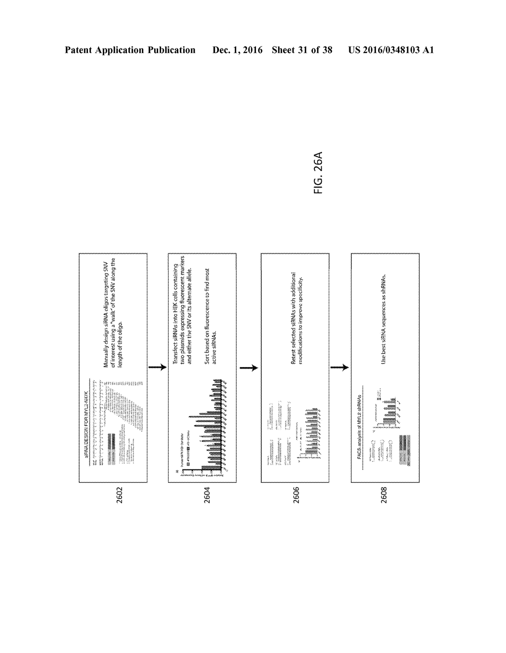 Oligonucleotides and Methods for Treatment of Cardiomyopathy Using RNA     Interference - diagram, schematic, and image 32