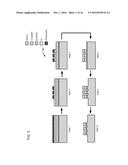 PIEZORESISTIVE BORON DOPED DIAMOND NANOWIRE diagram and image