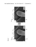 PIEZORESISTIVE BORON DOPED DIAMOND NANOWIRE diagram and image