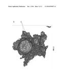 GEOGRAPHICALLY SMOOTHED DEMOGRAPHIC CARTOGRAMS AND CARTOGRAM SERVER diagram and image