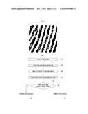 ELECTRONIC DEVICE COMPRISING MINIMUM SENSING AREA AND FINGERPRINT     INFORMATION PROCESSING METHOD THEREOF diagram and image