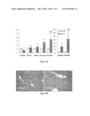 Compositions and Methods for Treating Liver Injury diagram and image