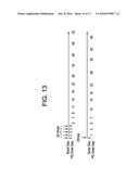 RNAI AGENTS, COMPOSITIONS AND METHODS OF USE THEREOF FOR TREATING     TRANSTHYRETIN (TTR) ASSOCIATED DISEASES diagram and image