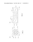 Method and Apparatus for Determining Concentration Using Polarized Light diagram and image