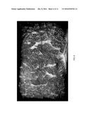 NONDESTRUCTIVE MEAT TENDERNESS ASSESSMENT diagram and image