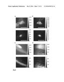 METHOD FOR DETECTION OF A REVERSIBLY PHOTO-CONVERTIBLE FLUORESCENT SPECIES diagram and image