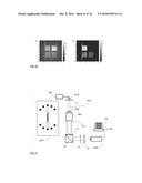 METHOD FOR DETECTION OF A REVERSIBLY PHOTO-CONVERTIBLE FLUORESCENT SPECIES diagram and image