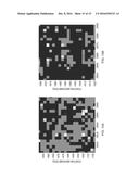 BACTERIAL DETECTION PLATFORM BASED ON SERS MAPPING diagram and image