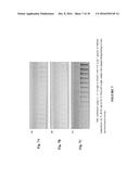 NANOREACTORS AS THERMAL HISTORY INDICATORS diagram and image