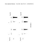 NANOREACTORS AS THERMAL HISTORY INDICATORS diagram and image