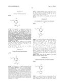 N2-PHENYL-PYRIDO[3,4-D]PYRIMIDINE-2, 8-DIAMINE DERIVATIVES AND THEIR USE     AS MPS1 INHIBITORS diagram and image