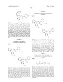 IDO Inhibitors diagram and image