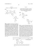 IDO Inhibitors diagram and image