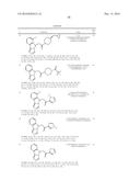 IDO Inhibitors diagram and image