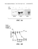 MODIFIED MICROBIAL TOXIN RECEPTOR FOR DELIVERING AGENTS INTO CELLS diagram and image