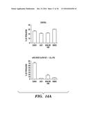 MODIFIED MICROBIAL TOXIN RECEPTOR FOR DELIVERING AGENTS INTO CELLS diagram and image