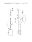 DEVICES FOR THERAPEUTIC VASCULAR PROCEDURES diagram and image