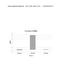 COMPLEXES OF RNA AND CATIONIC PEPTIDES FOR TRANSFECTION AND FOR     IMMUNOSTIMULATION diagram and image