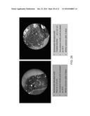 ENHANCED BIOCHAR diagram and image