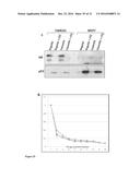 COMPOUNDS AND METHODS FOR TREATING CANCERS diagram and image