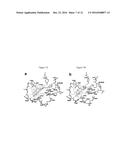 2-Aminoquinoline-Based Compounds for Potent and Selective Neuronal Nitric     Oxide Synthase Inhibition diagram and image