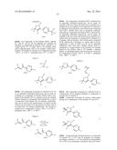 ISOXAZOLINE DERIVATIVES AS INSECTICIDES diagram and image