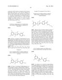 ISOXAZOLINE DERIVATIVES AS INSECTICIDES diagram and image