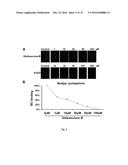 MULTITARGET HEDGEHOG PATHWAY INHIBITORS AND USES THEREOF diagram and image