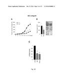 MULTITARGET HEDGEHOG PATHWAY INHIBITORS AND USES THEREOF diagram and image