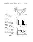 MOLECULES AND COMPOSITIONS THAT INHIBIT GRAM NEGATIVE BACTERIA AND THEIR     USES diagram and image