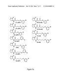 MOLECULES AND COMPOSITIONS THAT INHIBIT GRAM NEGATIVE BACTERIA AND THEIR     USES diagram and image