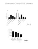 MOLECULES AND COMPOSITIONS THAT INHIBIT GRAM NEGATIVE BACTERIA AND THEIR     USES diagram and image