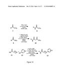 MOLECULES AND COMPOSITIONS THAT INHIBIT GRAM NEGATIVE BACTERIA AND THEIR     USES diagram and image