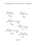 MOLECULES AND COMPOSITIONS THAT INHIBIT GRAM NEGATIVE BACTERIA AND THEIR     USES diagram and image