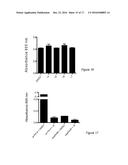 MOLECULES AND COMPOSITIONS THAT INHIBIT GRAM NEGATIVE BACTERIA AND THEIR     USES diagram and image