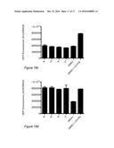 MOLECULES AND COMPOSITIONS THAT INHIBIT GRAM NEGATIVE BACTERIA AND THEIR     USES diagram and image