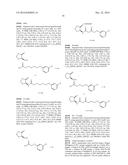 MOLECULES AND COMPOSITIONS THAT INHIBIT GRAM NEGATIVE BACTERIA AND THEIR     USES diagram and image